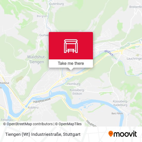 Tiengen (Wt) Industriestraße map