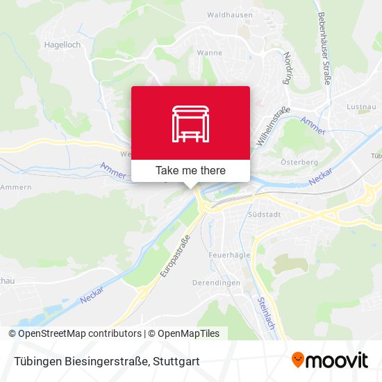 Tübingen Biesingerstraße map