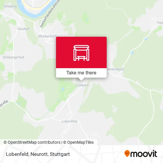 Карта Lobenfeld, Neurott