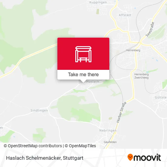 Haslach Schelmenäcker map