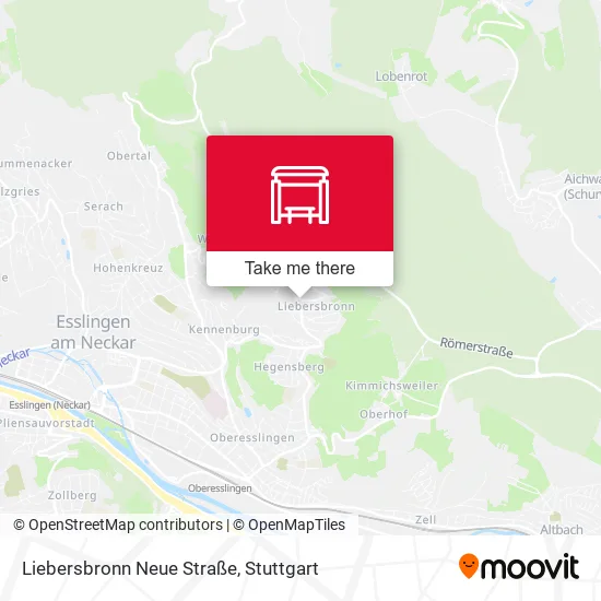 Карта Liebersbronn Neue Straße