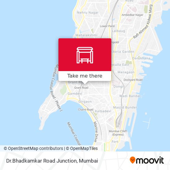 Dr.Bhadkamkar Road Junction map