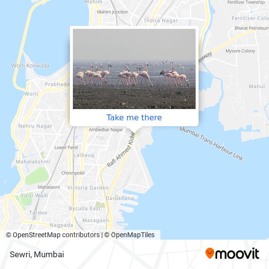 Sewri map