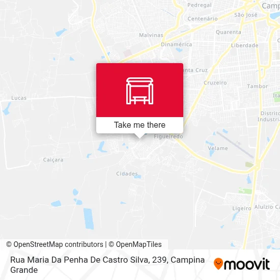 Rua Maria Da Penha De Castro Silva, 239 map