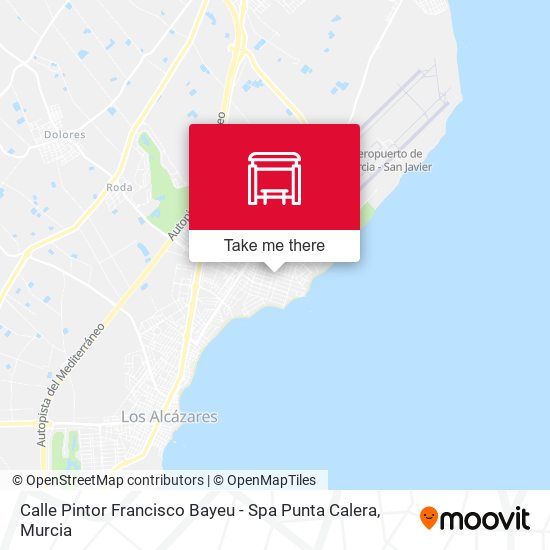 Calle Pintor Francisco Bayeu - Spa Punta Calera map