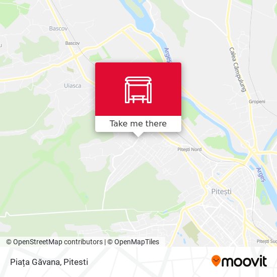 Piața Găvana map