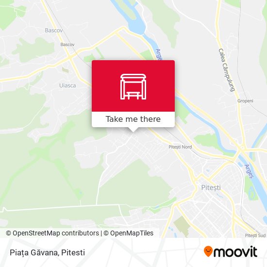 Piața Găvana map