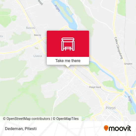 Dedeman map