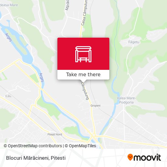 Blocuri Mărăcineni map