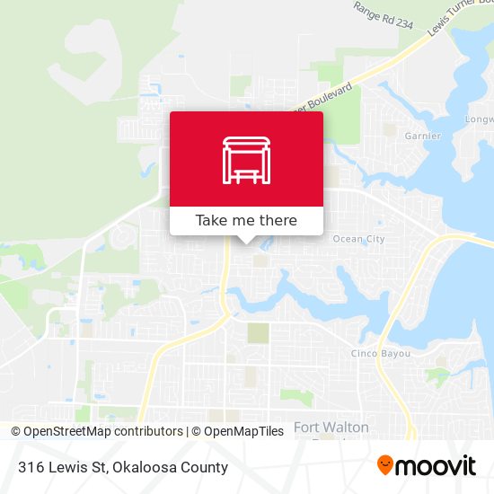 Mapa de 316 Lewis St