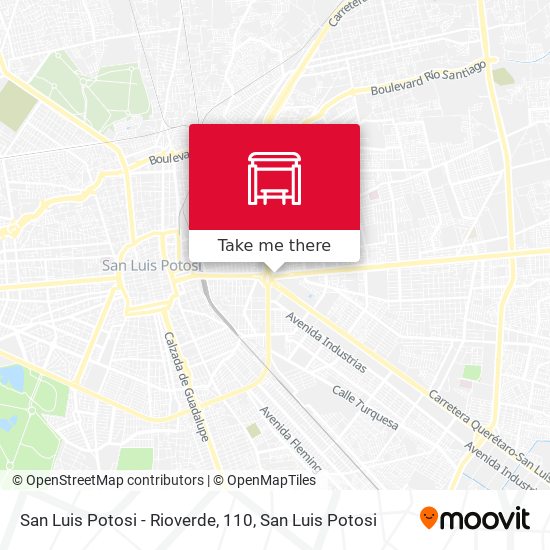San Luis Potosi - Rioverde, 110 map