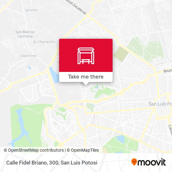 Calle Fidel Briano, 300 map