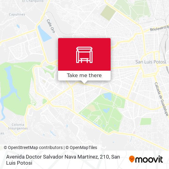 Avenida Doctor Salvador Nava Martínez, 210 map