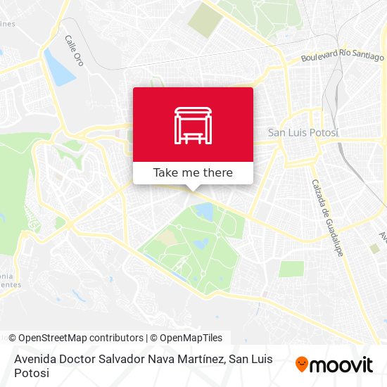 Avenida Doctor Salvador Nava Martínez map