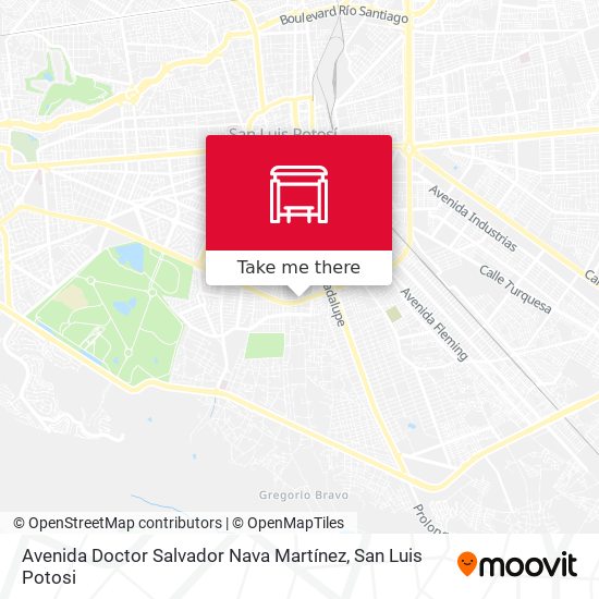 Avenida Doctor Salvador Nava Martínez map