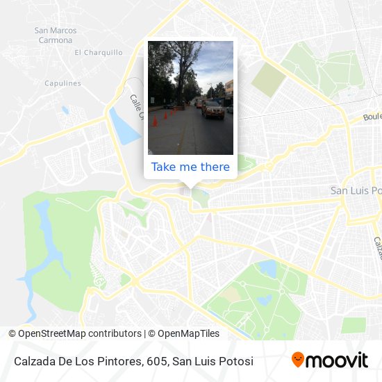 Calzada De Los Pintores, 605 map