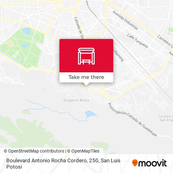 Boulevard Antonio Rocha Cordero, 250 map