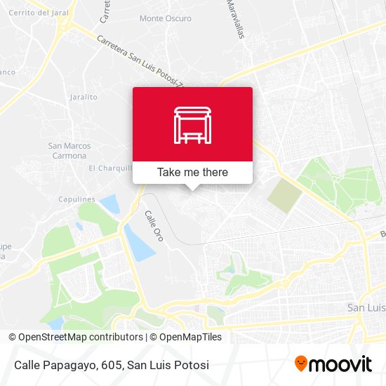 Calle Papagayo, 605 map