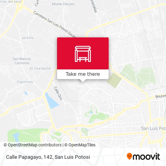 Calle Papagayo, 142 map