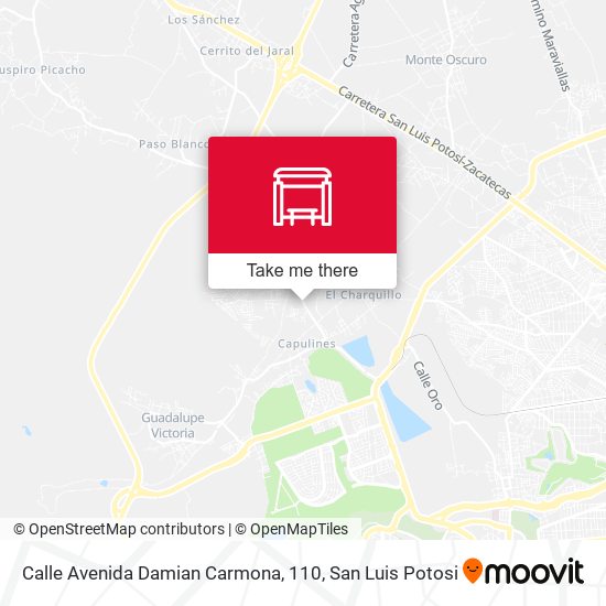 Mapa de Calle Avenida Damian Carmona, 110