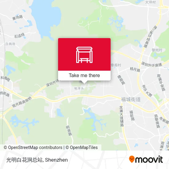 光明白花洞总站 map