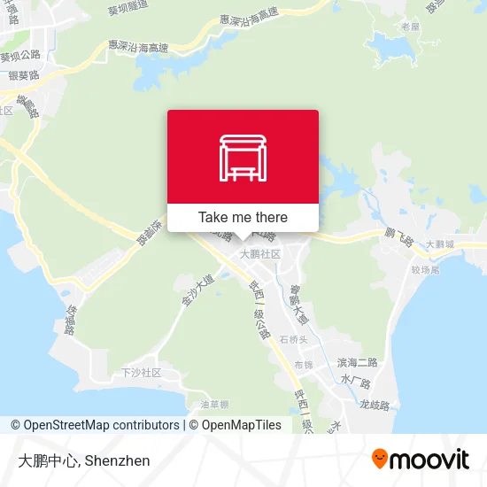 大鹏中心 map