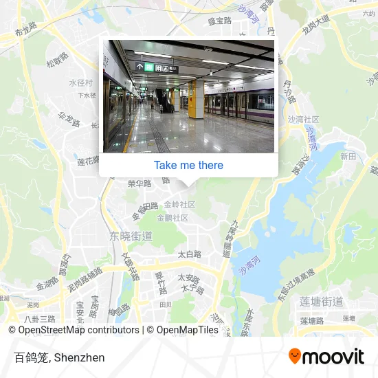 百鸽笼 map