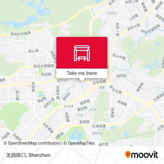 龙园路口 map