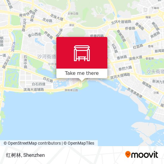 红树林 map