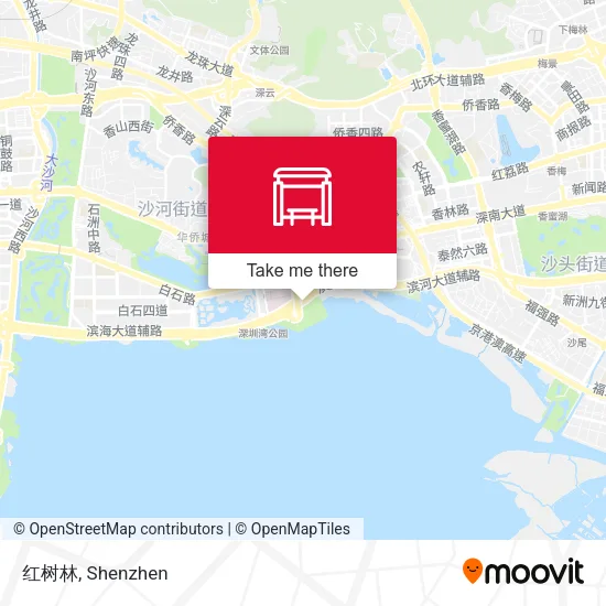 红树林 map