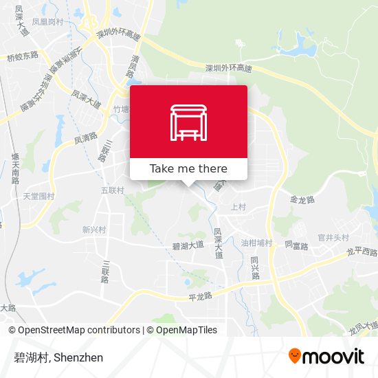 碧湖村 map