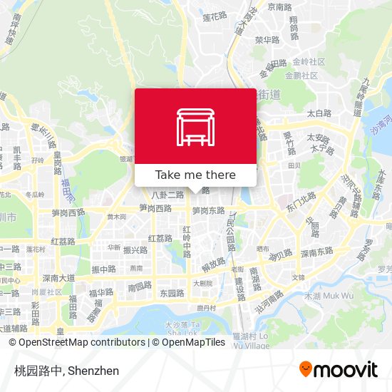 桃园路中 map