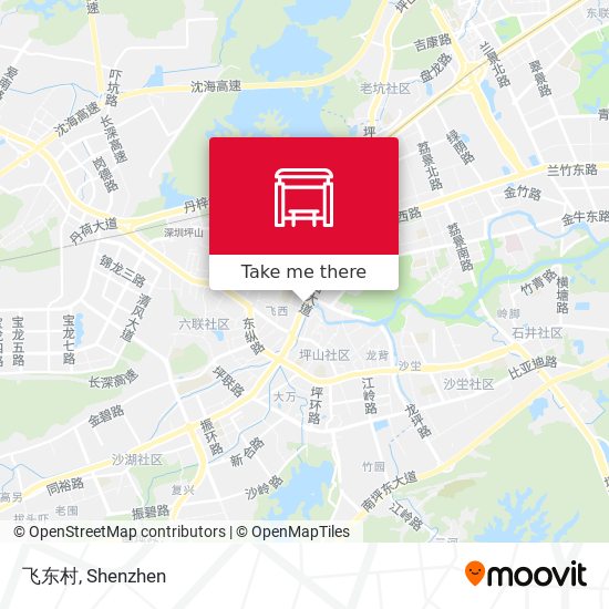 飞东村 map