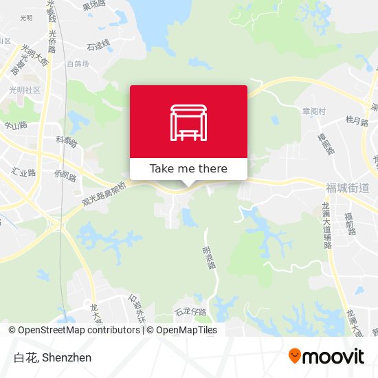 白花 map