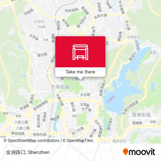 金洲路口 map