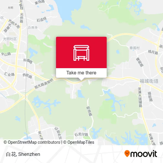 白花 map