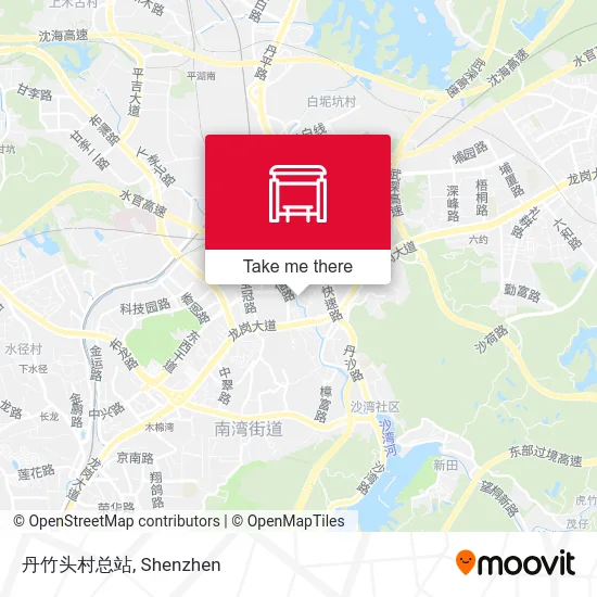 丹竹头村总站 map