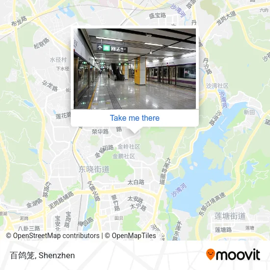 百鸽笼 map