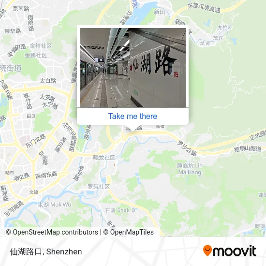 仙湖路口 map