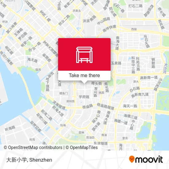 大新小学 map