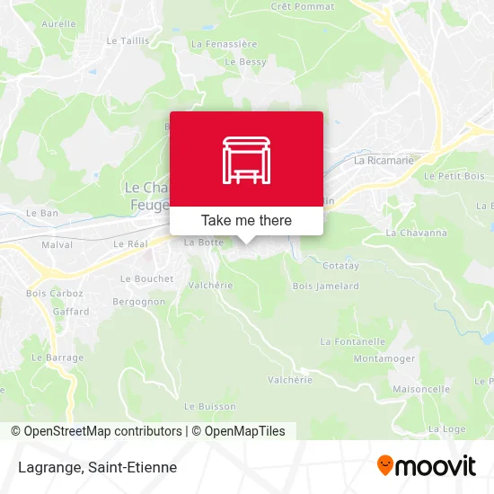 Lagrange map