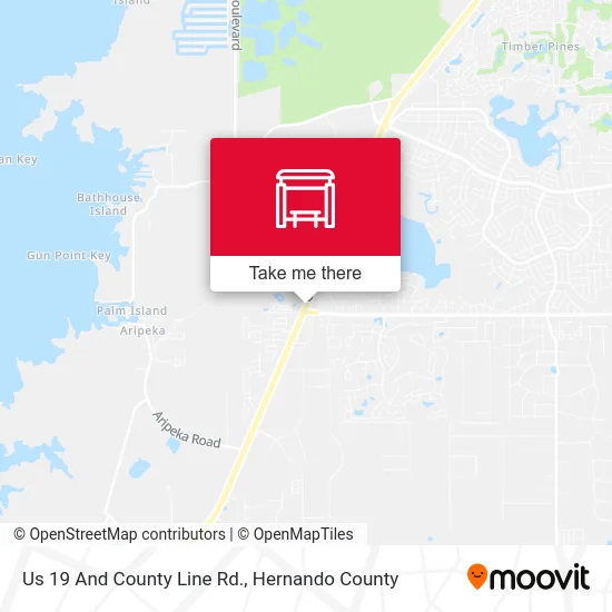 Us 19  And County Line Rd. map