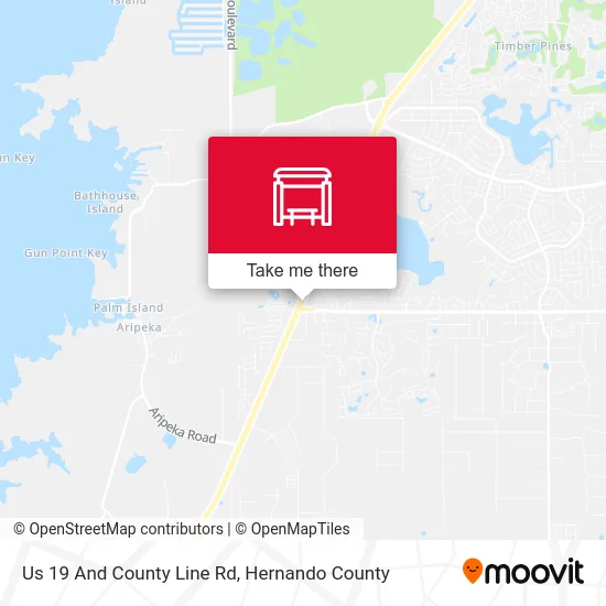Us 19 And County Line Rd map