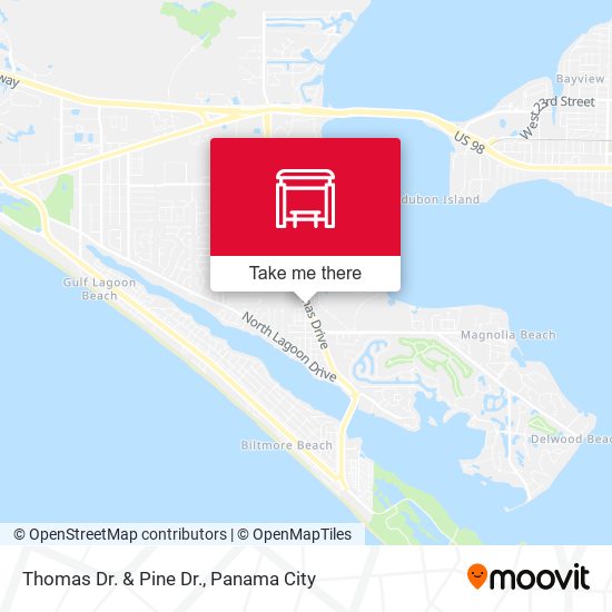 Thomas Dr. & Pine Dr. map