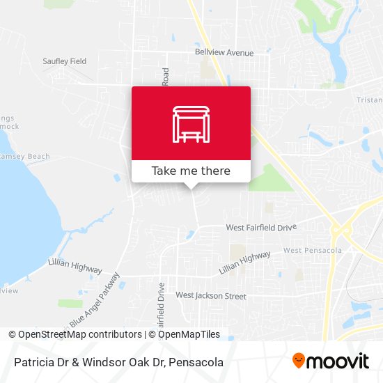 Mapa de Patricia Dr & Windsor Oak Dr