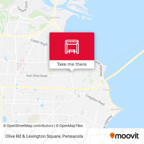 Olive Rd & Lexington Square map