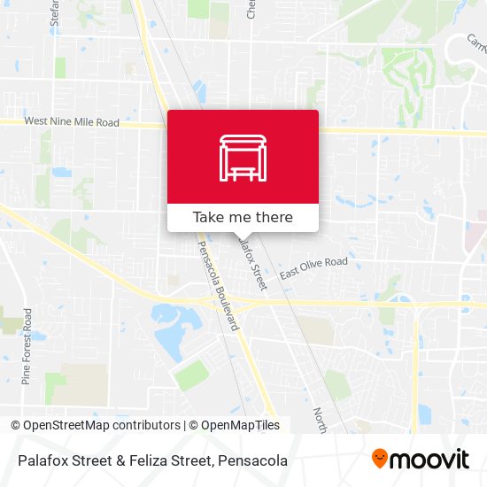 Palafox Street & Feliza Street map