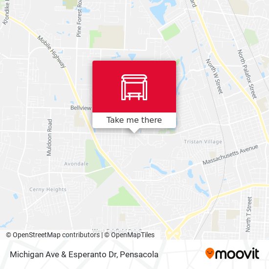 Michigan Ave & Esperanto Dr map