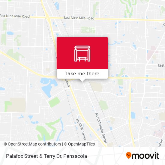 Palafox Street & Terry Dr map