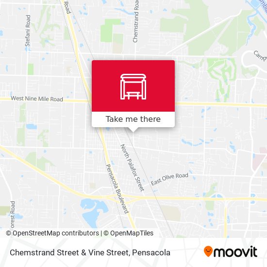 Chemstrand Street & Vine Street map